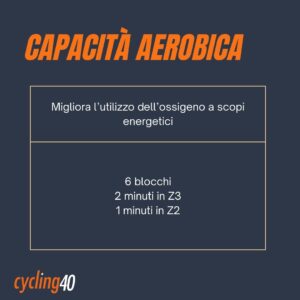 Capacità aerobica